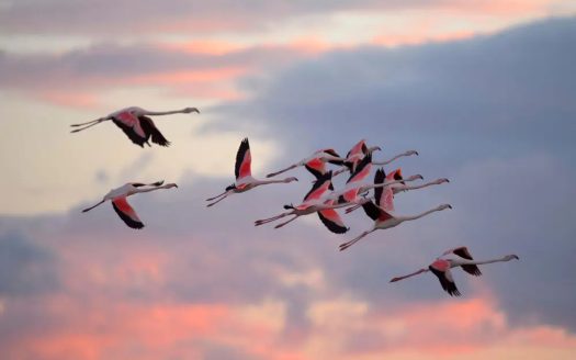 Mas du Couvin - France | Cosy Places Luxe par C&C